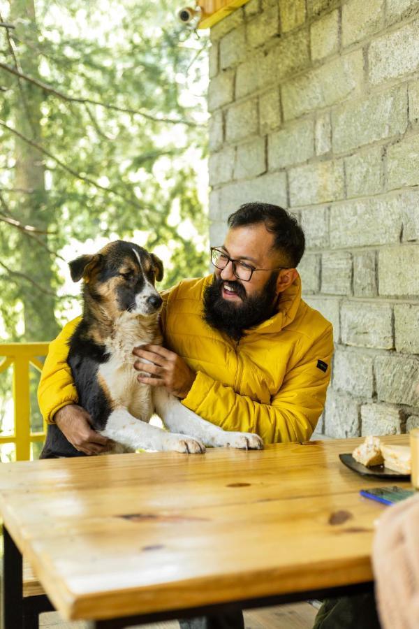 The Hosteller Manali Exteriér fotografie